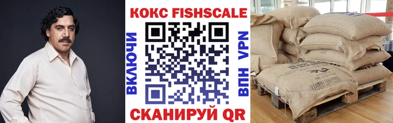Кокаин FishScale  Купить  Вятские Поляны 