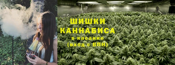 ПСИЛОЦИБИНОВЫЕ ГРИБЫ Карталы