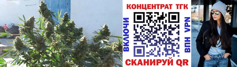 Дистиллят ТГК жижа Купить закладки Вятские Поляны